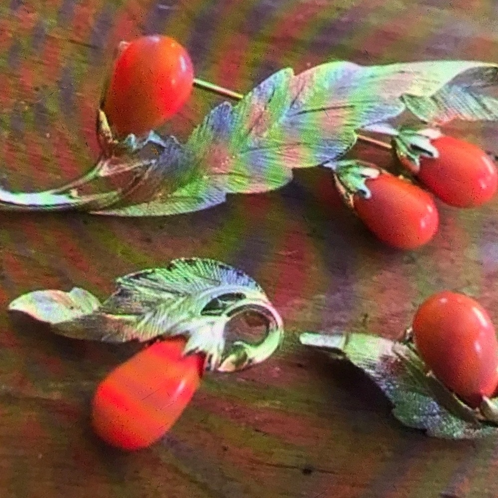 Sarah Coventry Bittersweet  Collection Coral Color